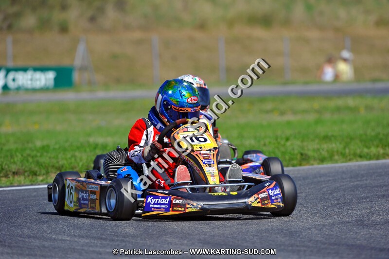DSC_ (1362).jpg